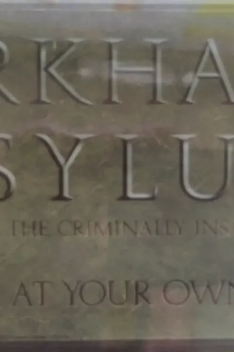 An Arkham Asylum promotional display