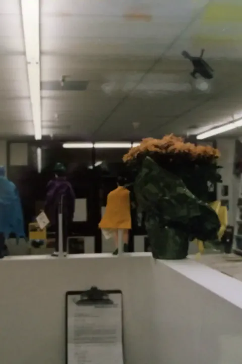 Looking into the store from the back office