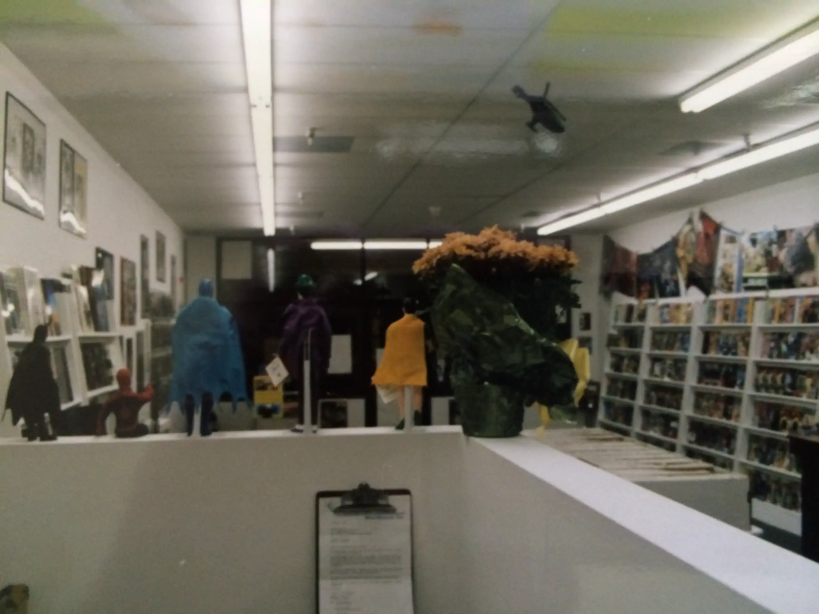 Looking into the store from the back office